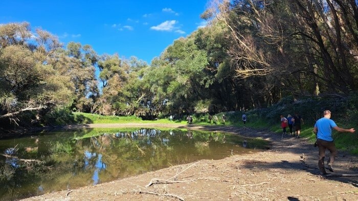 Hoy admiraremos la hermosura de los únicos ecosistemas de la cuenca del río Danubio 