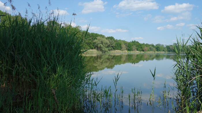 Uľanská mokraď