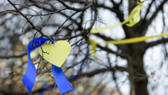 L’arbre de la fraternité entre Ukrainiens et Slovaques à Bratislava 