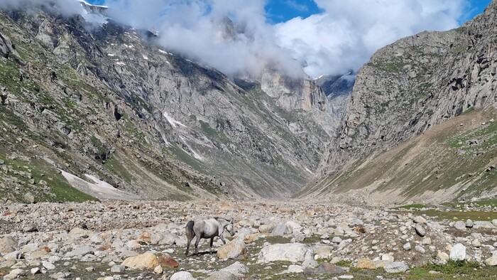 18_udolie_Spiti_pod_Kunzum_La_horskym_prechodom.jpg