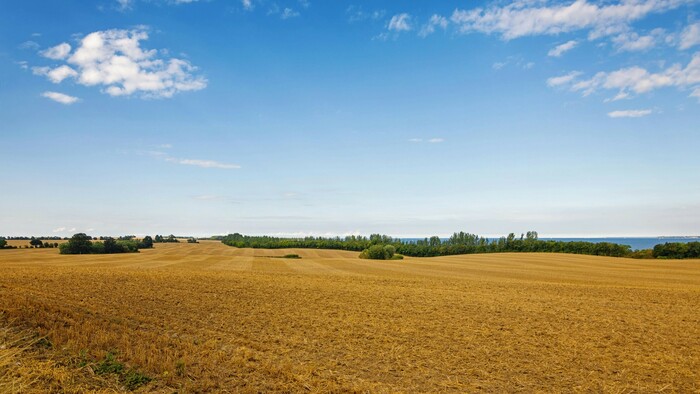 Odkupovanie poľnohospodárskej pôdy