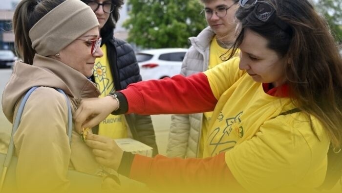 Daffodil is the symbol of solidarity with patients with cancer