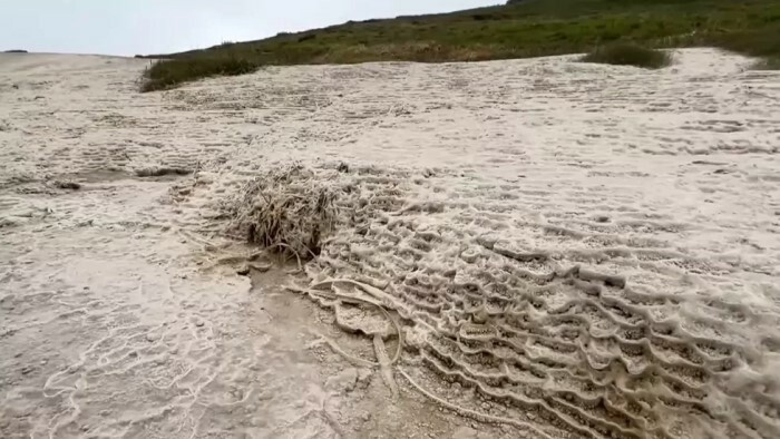 Die Rettung des Grauen Bartes