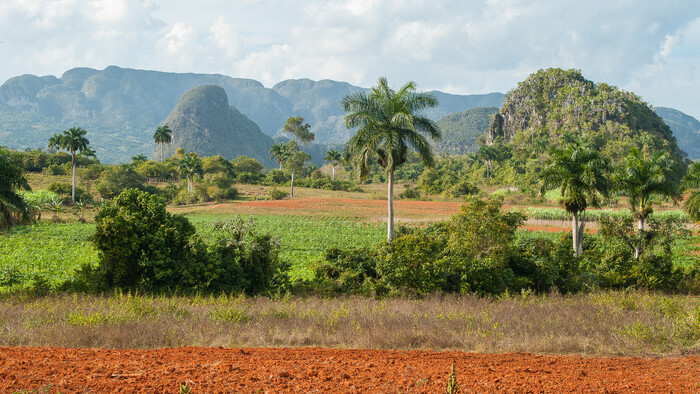 Viñales2.jpg