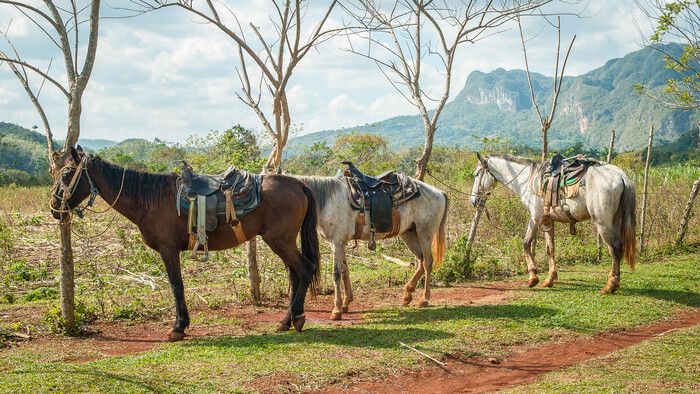 Viñales3.jpg