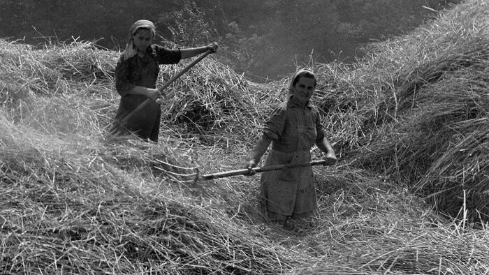 Hudobné dedičstvo: Žatevné a dožinkové piesne