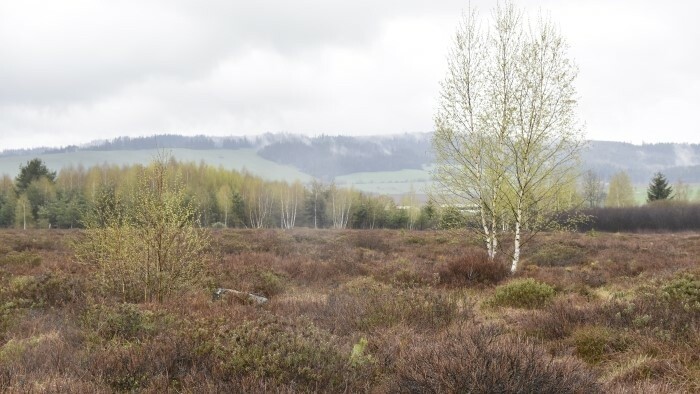 Schutz wertvoller Moorlandschaften