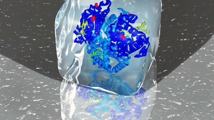 Vyvinuli elastický model DNA