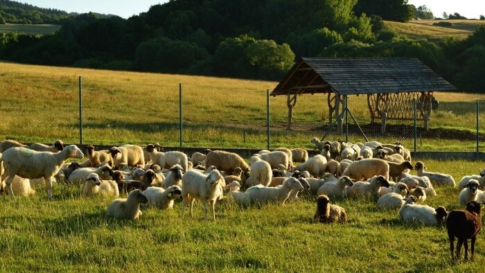 Agroturizmus 3.jpg