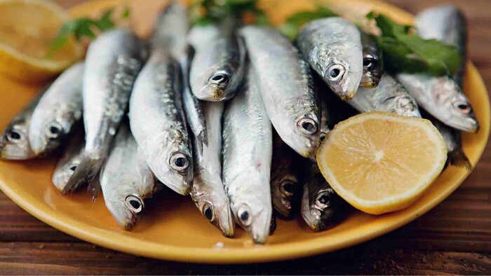 Dajte si sardinky, sú zdravé a majú veľa bielkovín 