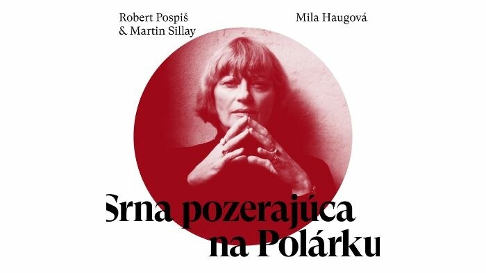 Mila Haugová o novom poetickom albume Srna pozerajúca na Polárku