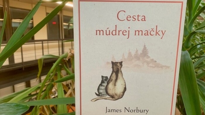 James Norbury: Cesta múdrej mačky