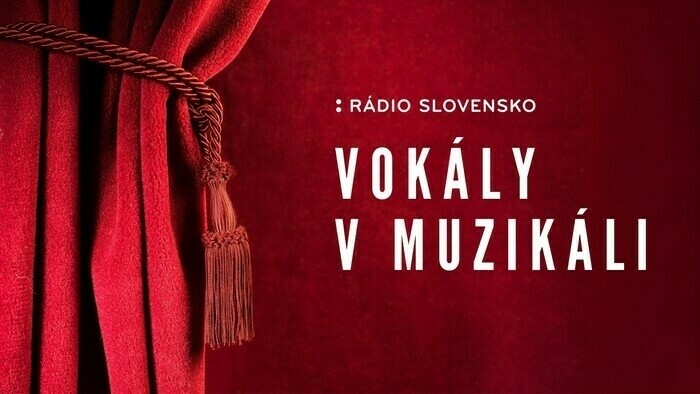 Vokály v muzikáli / Divoká gitara