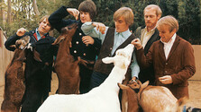 The Beach Boys: Album "Pet sounds"