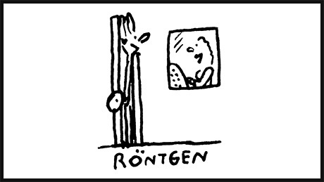 09_rontgen_460.jpg