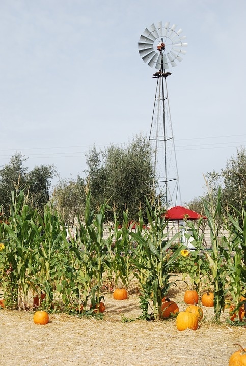 windmill-1011573_960_720.jpg