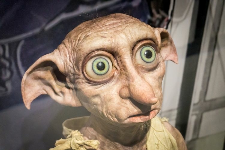 dobby.jpg