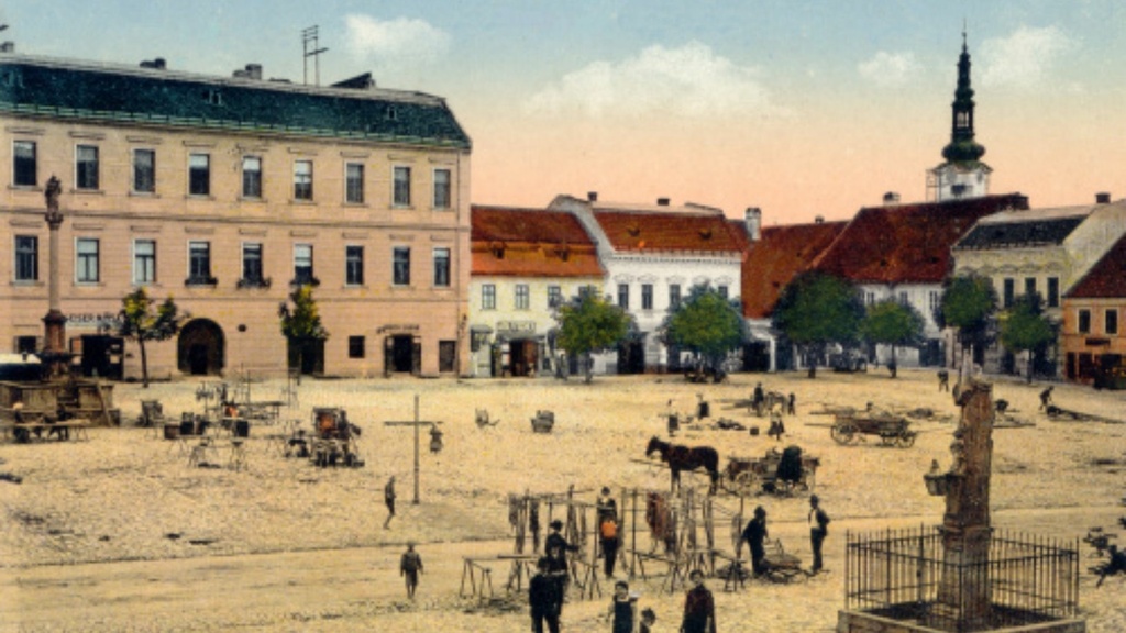 Foto CANVA(1793).jpg