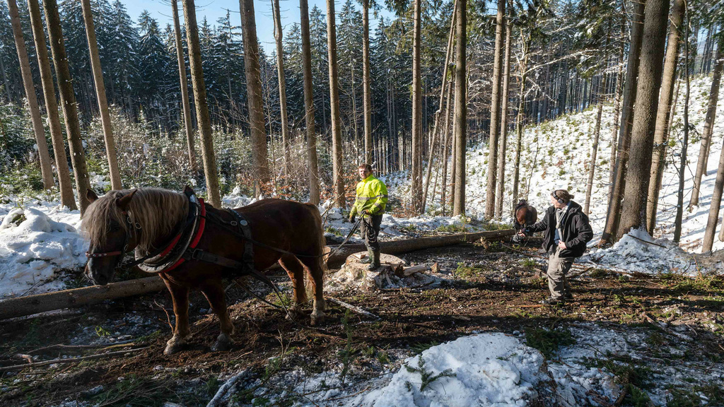 Epizóda cyklu Ľudia na hranici