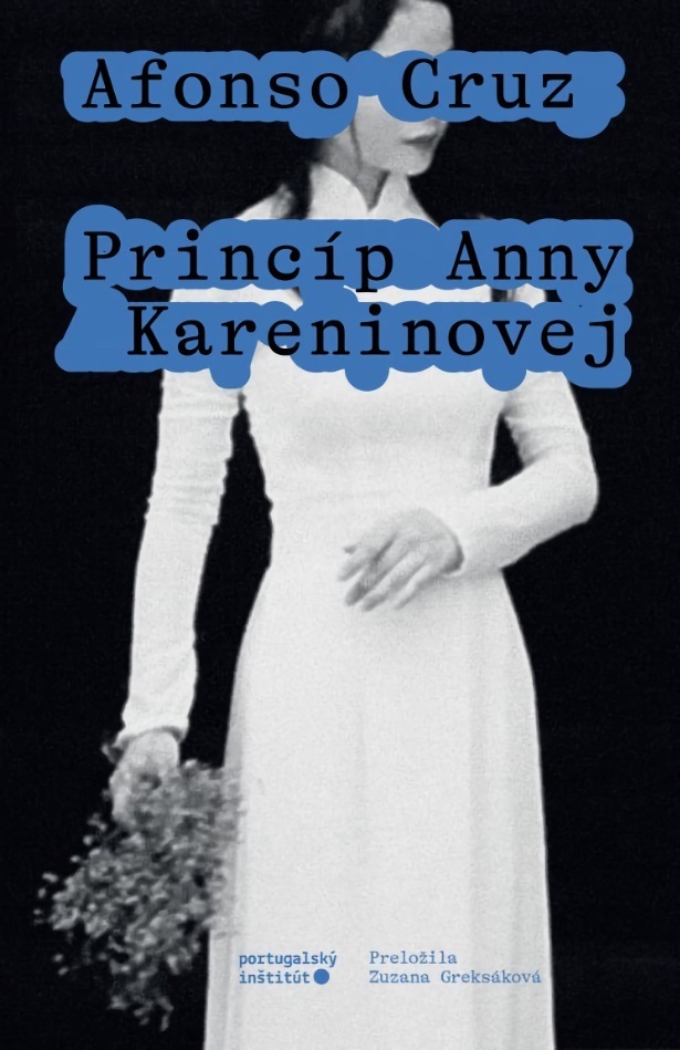 248_princip-a-kareninovej-afonso-cruz.jpg