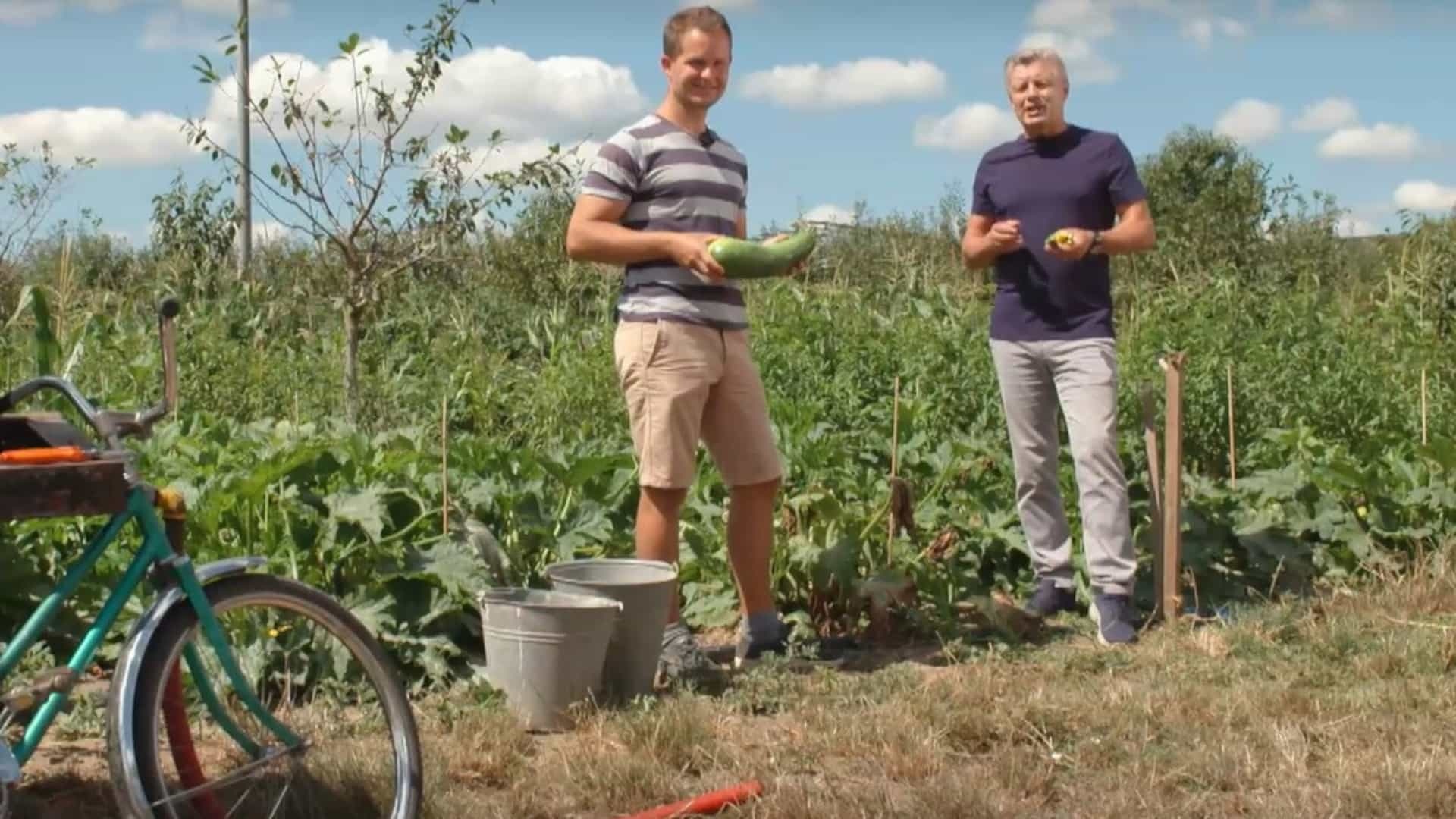 Ak počúvnete dobré rady odborníka, tak vám bude zelenina plodiť až do októbra