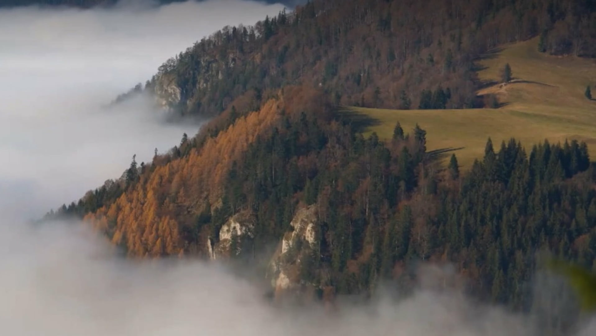 Sú Tatry preplnené? Poďte na Smrekovicu, ktorá je hneď vedľa vo Veľkej Fatre