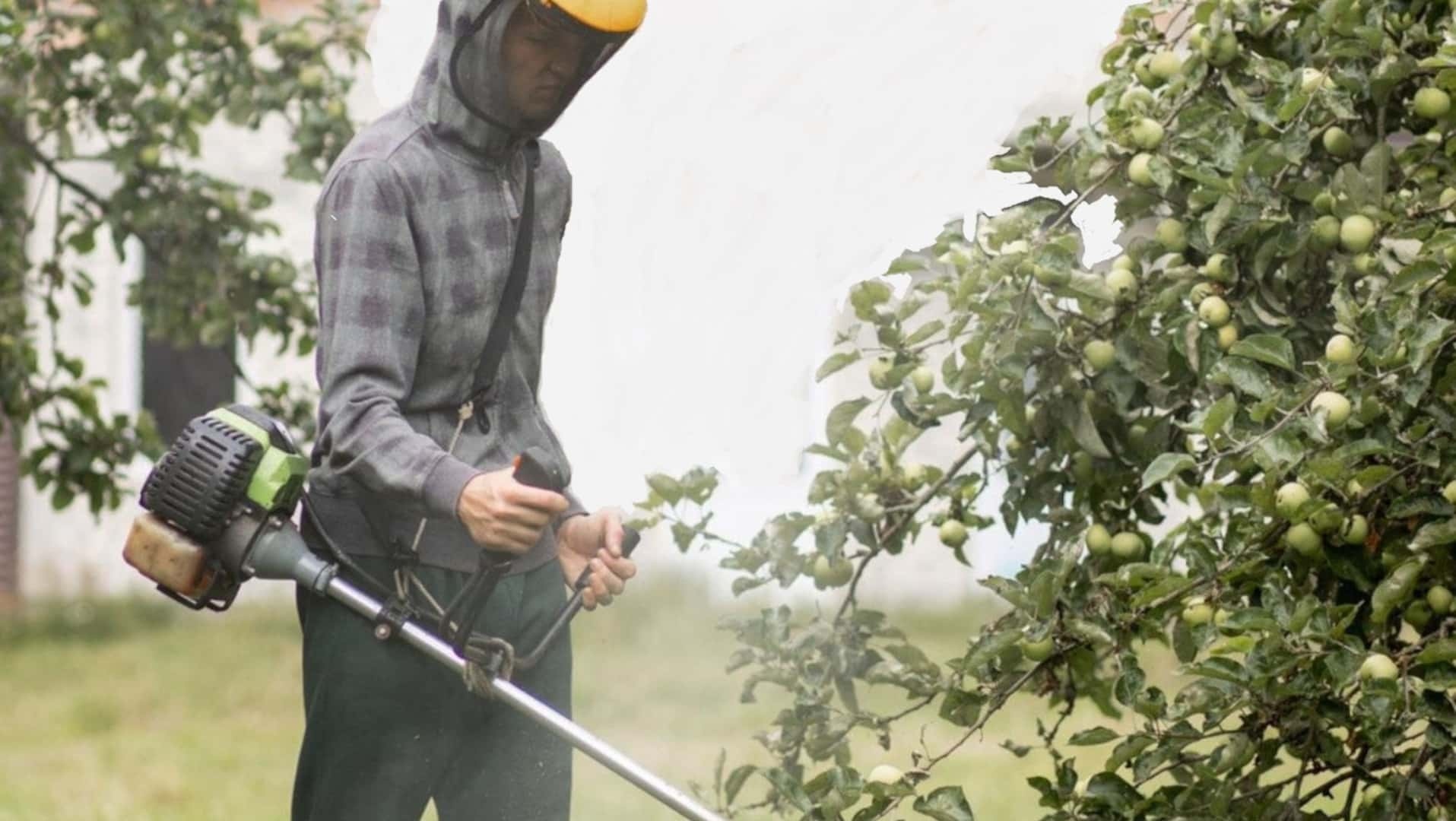 Častý omyl záhradkárov môžete využiť vo svoj prospech. Pozrite sa, ako na to