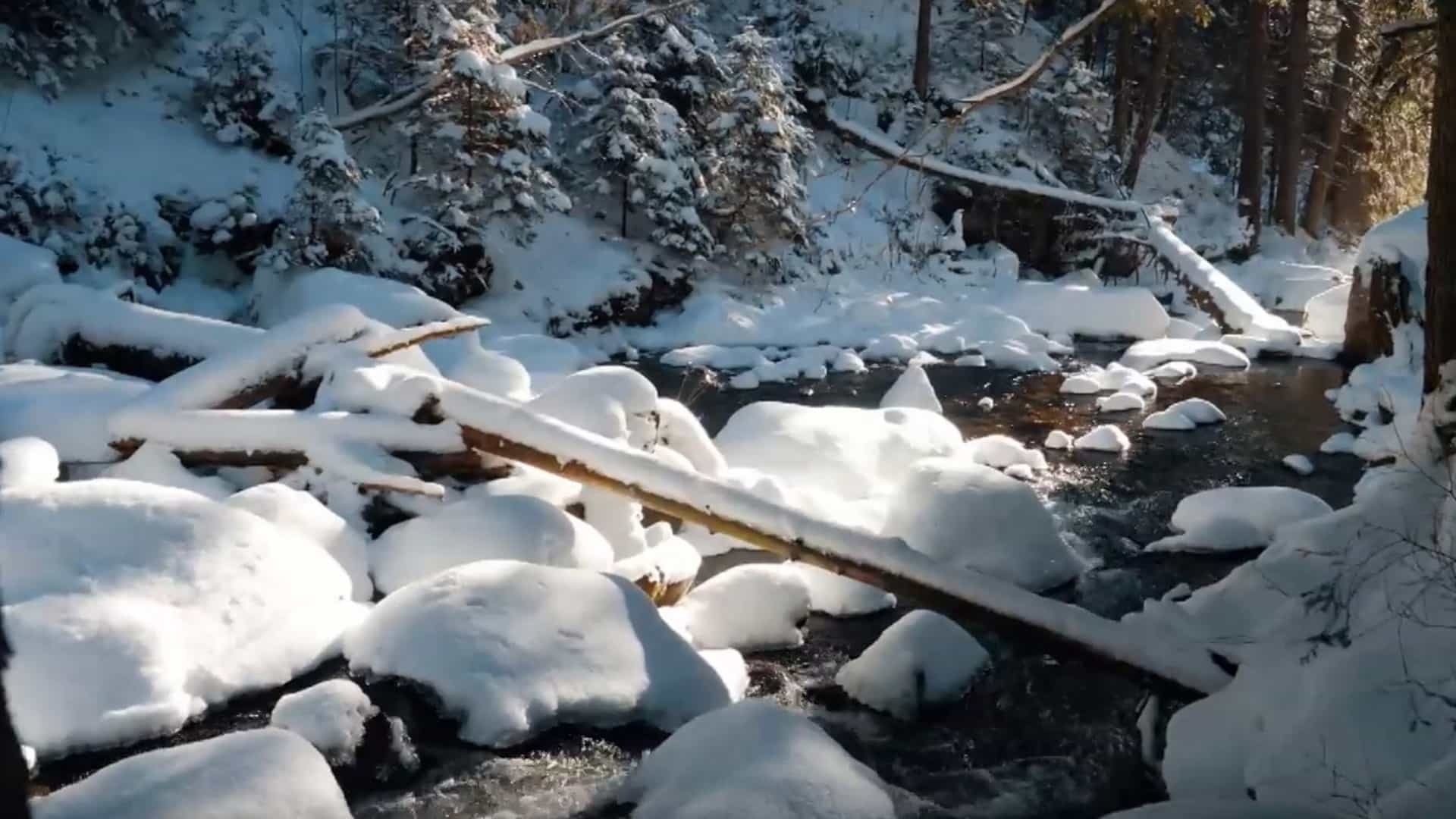 Do najdivokejšej doliny v Tatrách nevedie cesta. Preto ju turisti nezničili