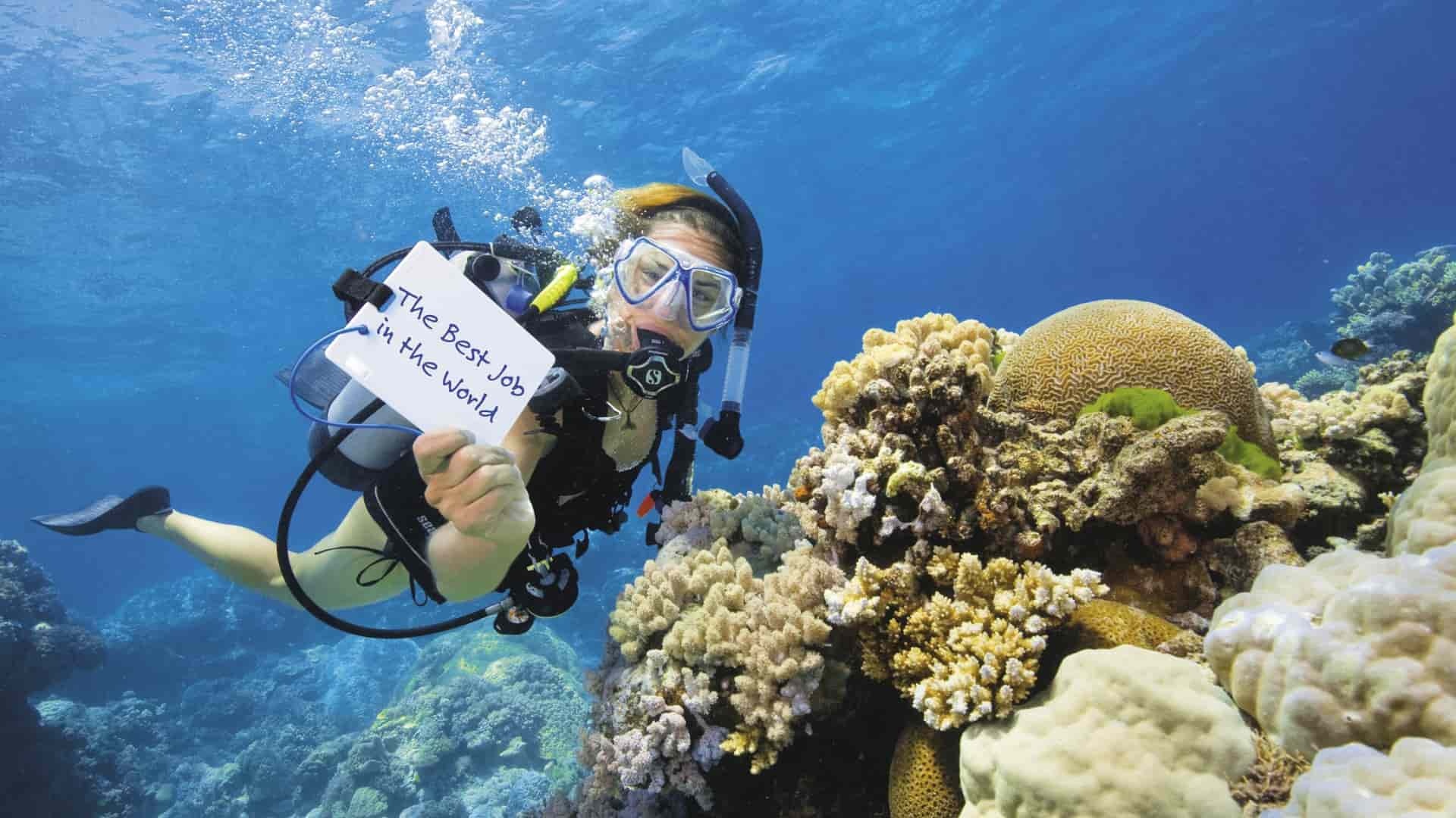 Najväčšiu stavbu sveta nepostavil človek. Viete, ktorý tvor je šikovnejší?