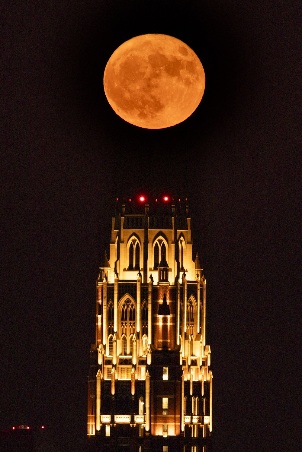 Tennessee_Supermoon555279976234.jpg