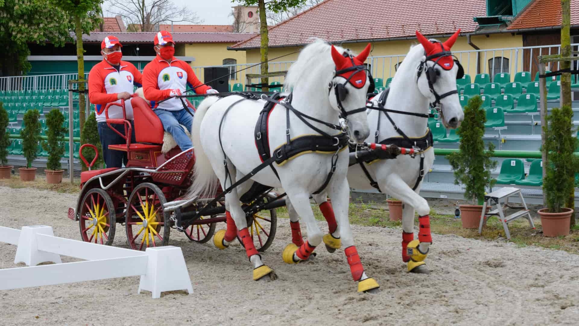 Topoľčianky-koč-Henrich-Mišovič-TASR