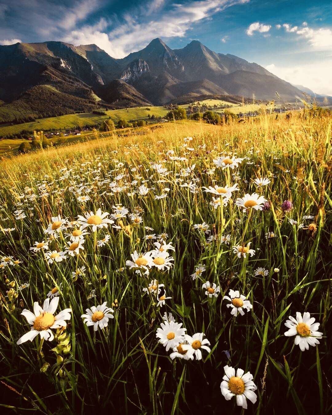 Belianske Tatry, Havran a Ždiarska Vidla, Ždiar a okolie