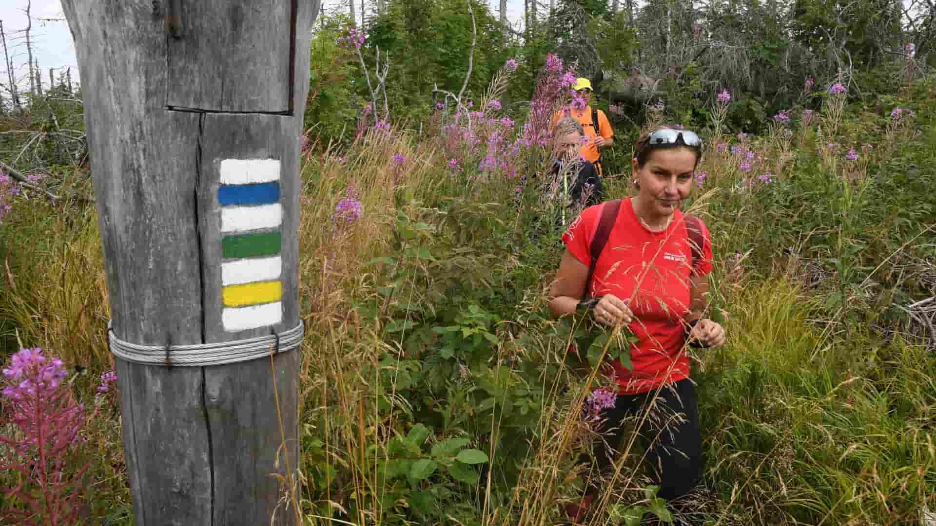 Muránska-planina-Erika-Ďurčová-TASR