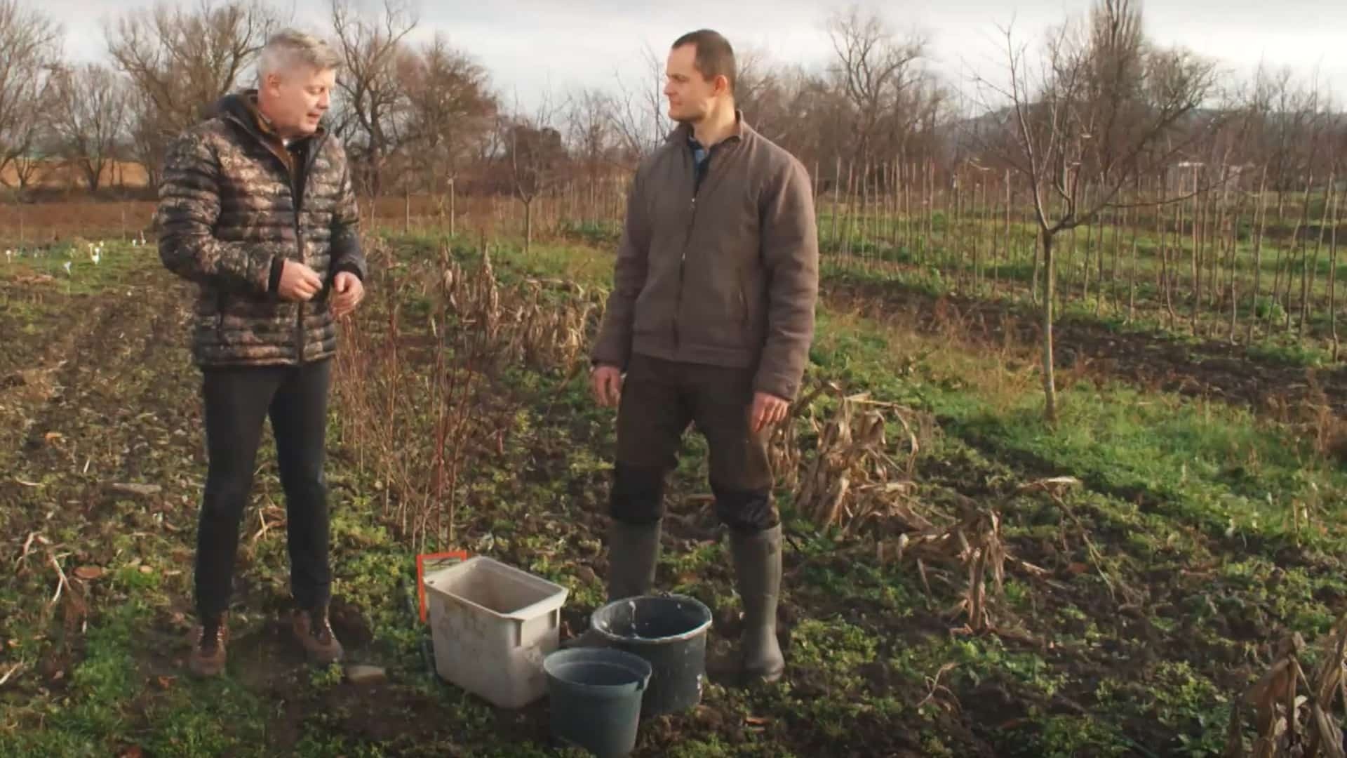 Ukážeme vám, ako rýchlo vypestujete stromy odolné voči klimatickým zmenám